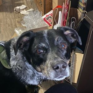 Meet your Posher, Marissa